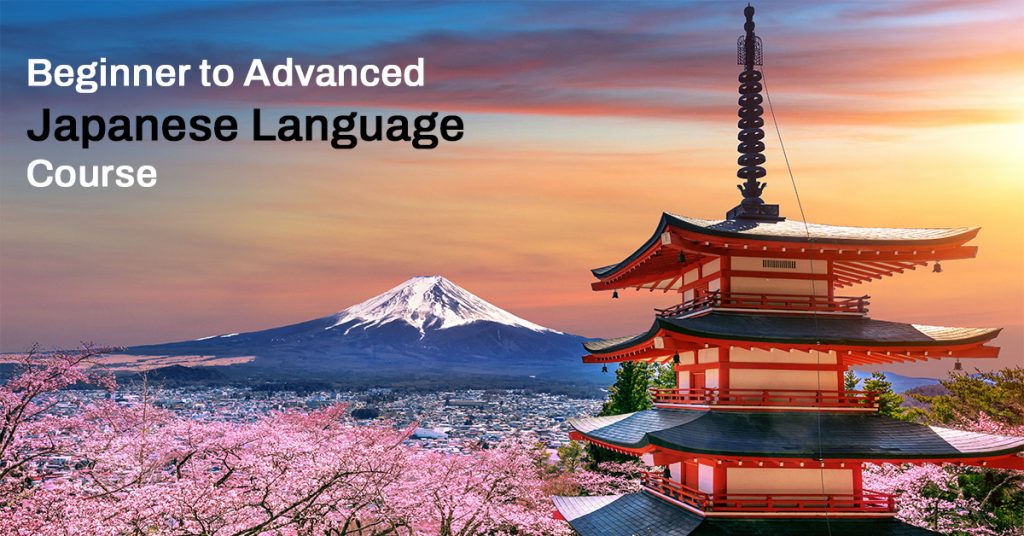 Beginner to advanced Japanese language course